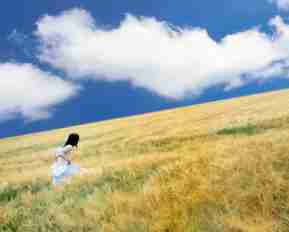 免​费‌内‌容‍缓‌存‌方‍案﻿